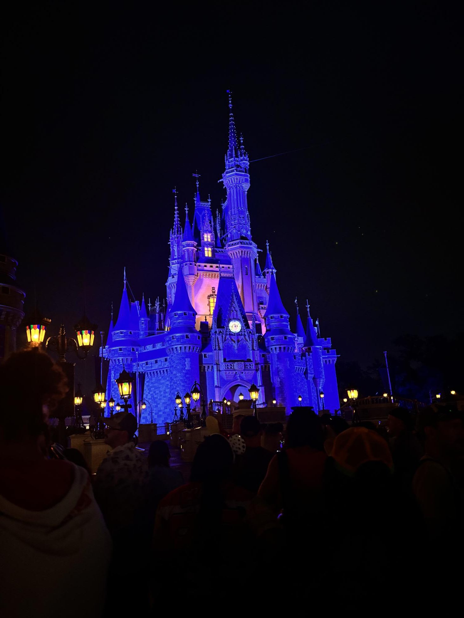 Fireworks. After a day in Magic Kingdom, park goers got to the castle early in order to watch "Happily Ever After," a fireworks show featuring music and scenes from some of the most popular Disney movies.