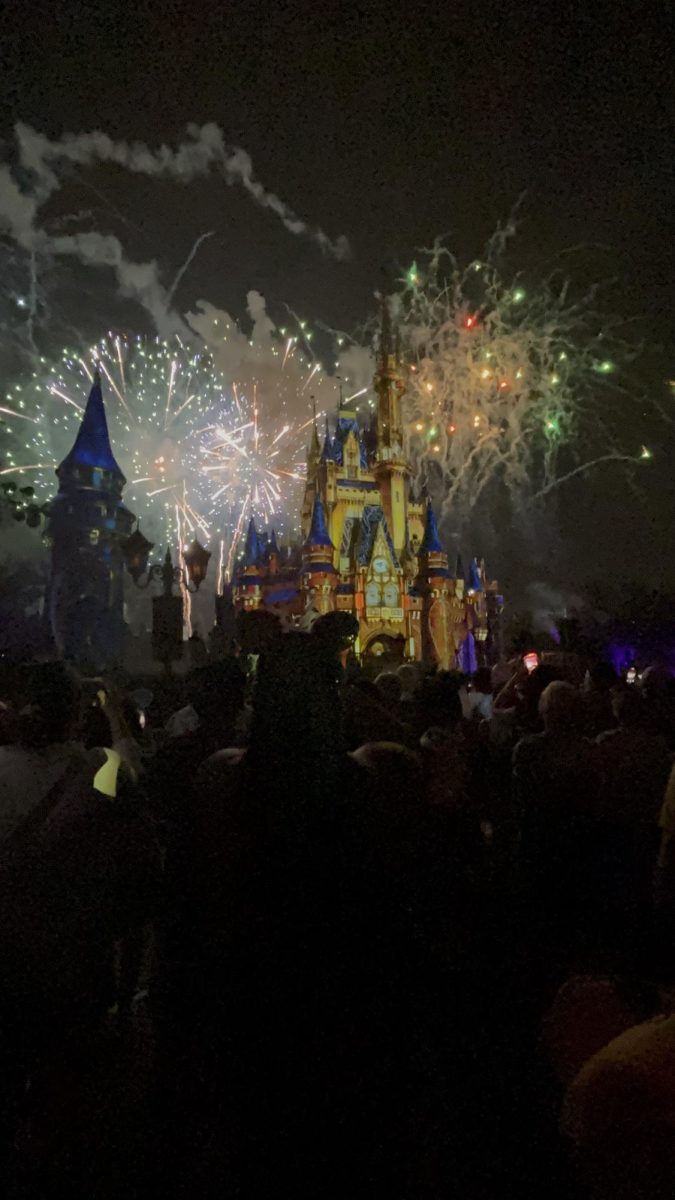 Happily ever after. Park goers lined up around Cinderella's Castle at closing time for Magic Kingdom in order to watch the fireworks show. 