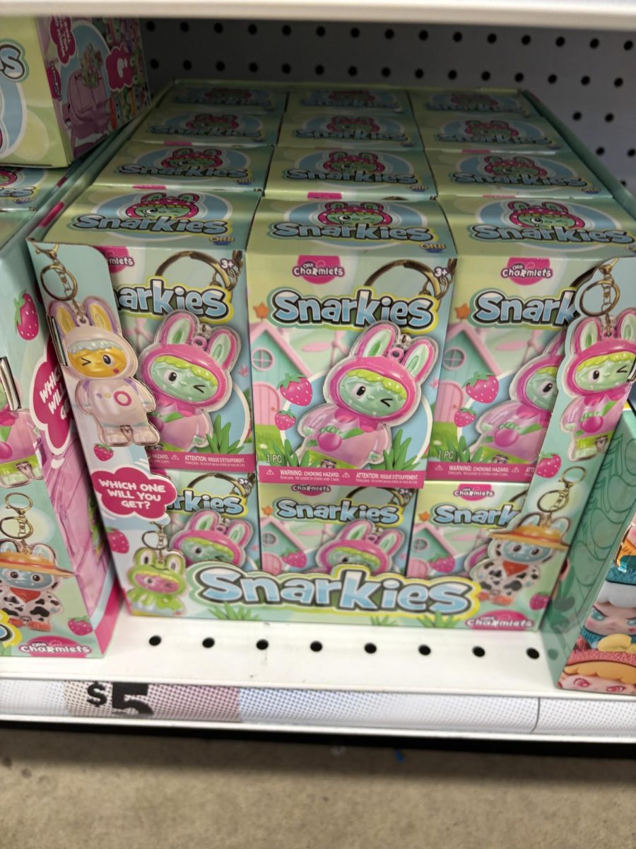 Fake Labubus spotted at 5 Below in the Logan Town Center.