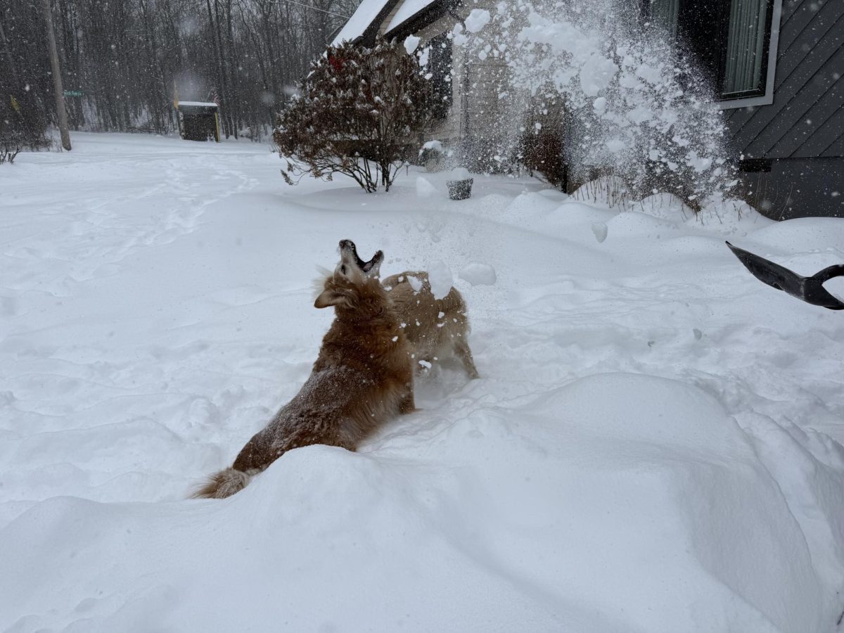 Snow day. The Altoona Area School District will be operating on a 2-hour delay schedule from Jan. 28 - Jan. 30. 