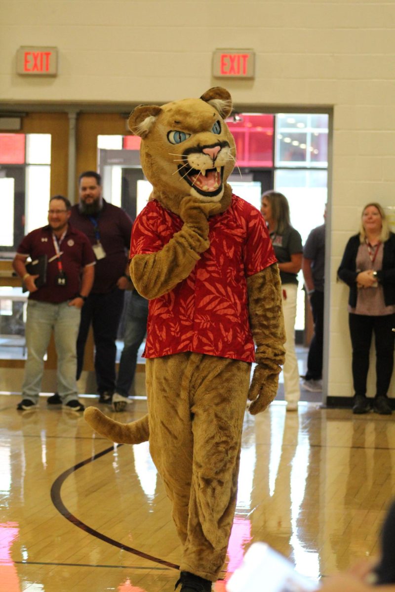 Mountain Lion. The school's mascot walks around interacting with the crowd at a pep rally. This pep rally was held on Nov. 22. 