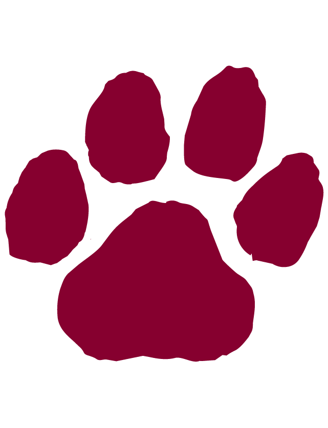 Seniors Launch “Pounce on Paws-ativity” to Spread Kindness
