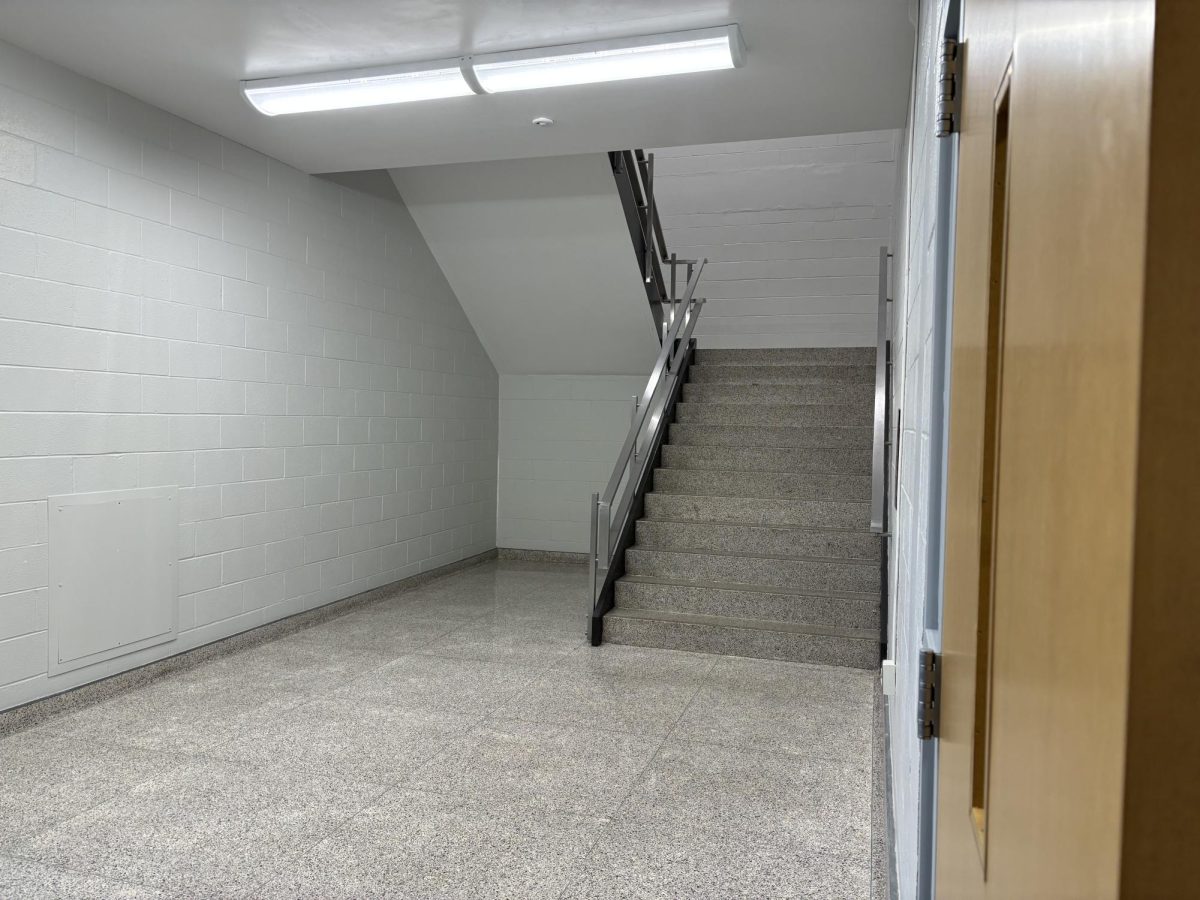 Perhaps the most niche of the stairwells, stairwell C feels like not only a pedestrian asset, but also a safe haven. 